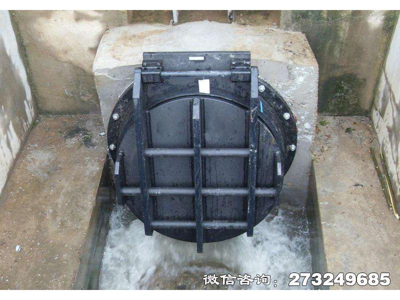 岭东钢制水渠拍门