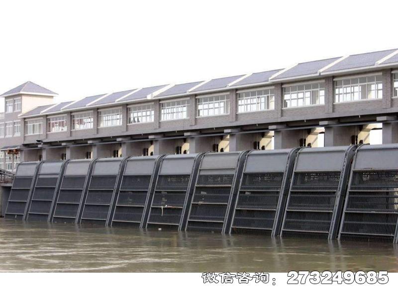 寻甸县电厂拦污栅条清污机