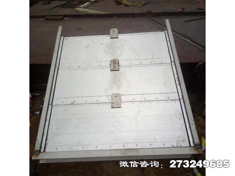 岭东不锈钢河道闸门