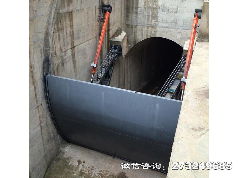 岭东弧形水库闸门